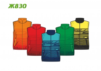 Жилет 830 расцветка 2